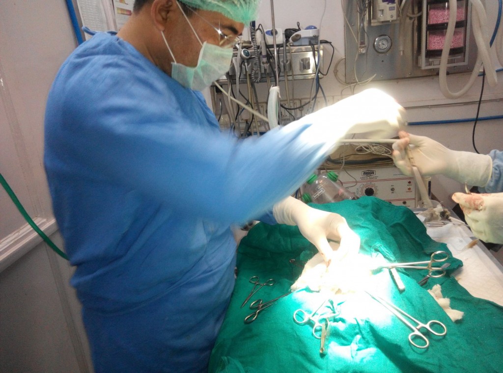Surgery at Bali Nagar